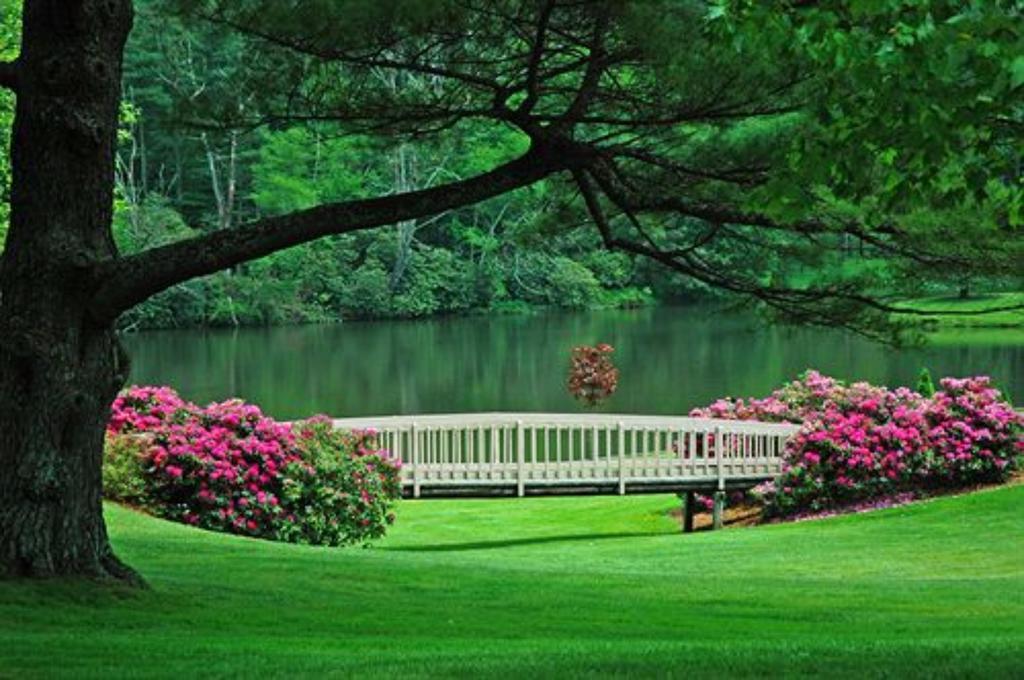 Resort Chetola At